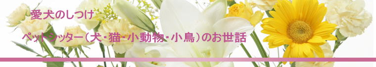@@̂  @ybgVb^[iELEEĵb 