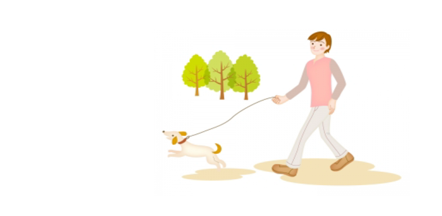 犬と猫仲良し写真