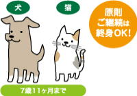 料理イメージ
